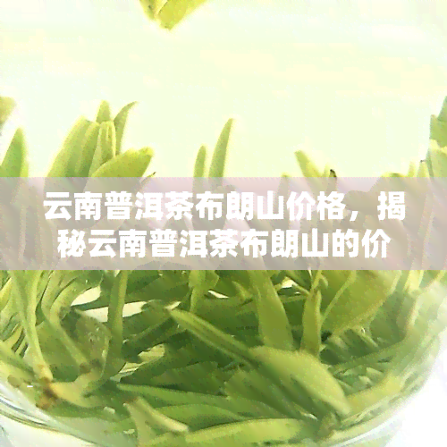 云南普洱茶布朗山价格，揭秘云南普洱茶布朗山的价格：你不可不知的真相！