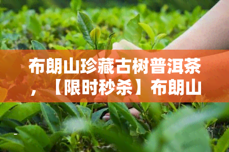 布朗山珍藏古树普洱茶，【限时秒杀】布朗山珍藏古树普洱茶，纯手工制作，口感醇厚，越陈越香，送礼自饮两相宜！