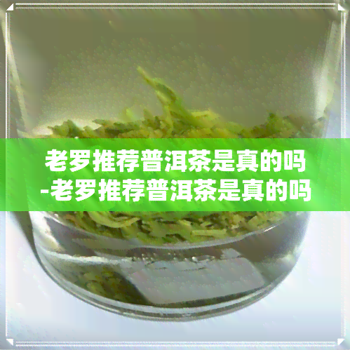 老罗推荐普洱茶是真的吗-老罗推荐普洱茶是真的吗还是假的