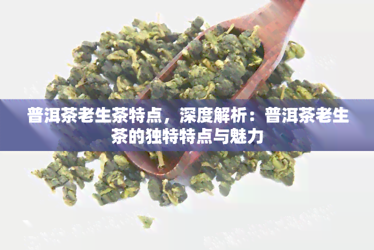 普洱茶老生茶特点，深度解析：普洱茶老生茶的独特特点与魅力