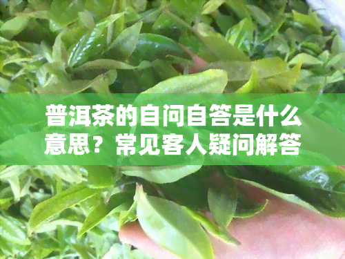 普洱茶的自问自答是什么意思？常见客人疑问解答