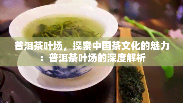 普洱茶叶场，探索中国茶文化的魅力：普洱茶叶场的深度解析