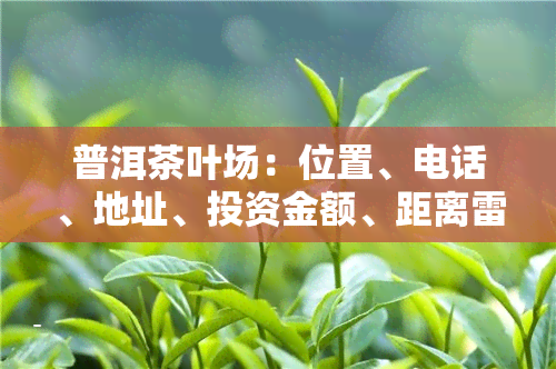 普洱茶叶场：位置、电话、地址、投资金额、距离雷霆、春节营业情况全知道！