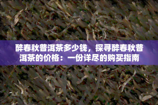 醉春秋普洱茶多少钱，探寻醉春秋普洱茶的价格：一份详尽的购买指南