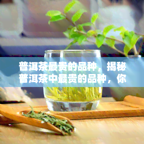 普洱茶最贵的品种，揭秘普洱茶中最贵的品种，你知道吗？