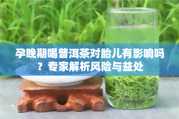 孕晚期喝普洱茶对胎儿有影响吗？专家解析风险与益处