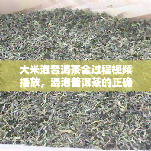 大米泡普洱茶全过程视频播放，浸泡普洱茶的正确方法：全程视频解析大米泡法