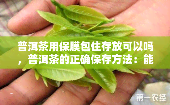 普洱茶用保膜包住存放可以吗，普洱茶的正确保存方法：能用保膜包住吗？