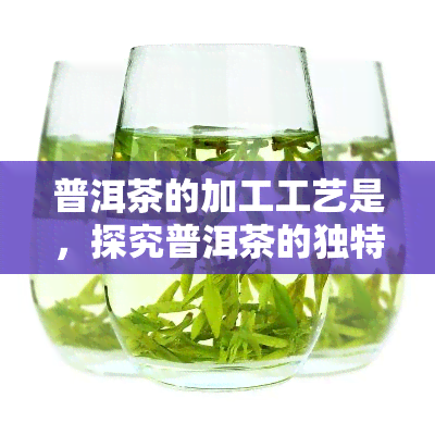 普洱茶的加工工艺是，探究普洱茶的独特加工工艺