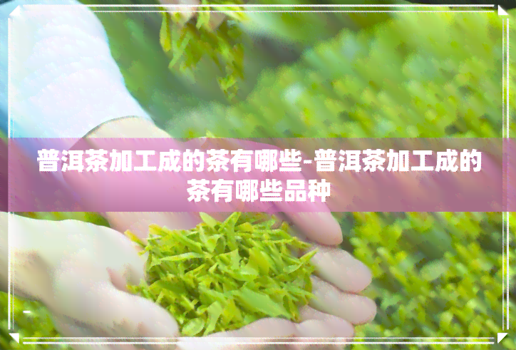 普洱茶加工成的茶有哪些-普洱茶加工成的茶有哪些品种