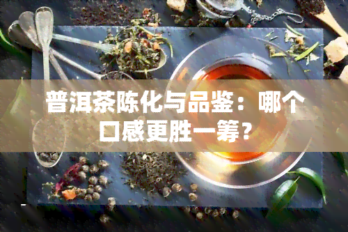 普洱茶陈化与品鉴：哪个口感更胜一筹？