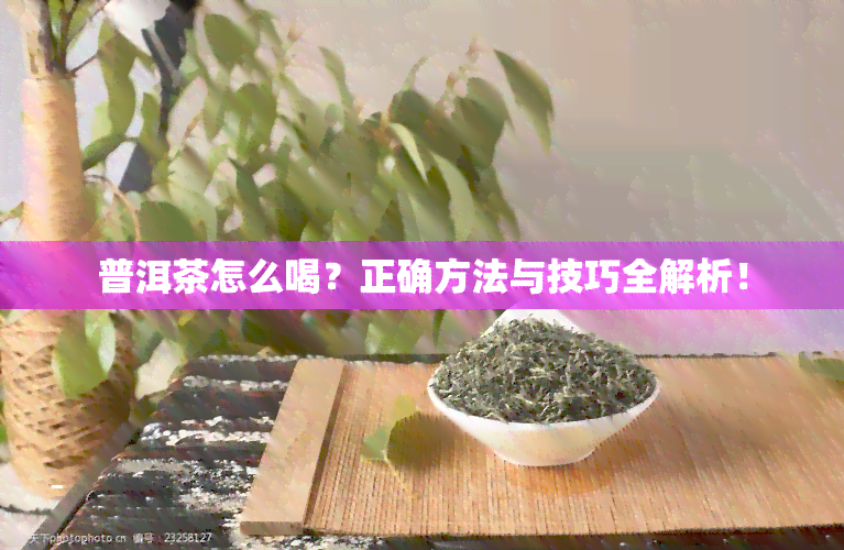 普洱茶怎么喝？正确方法与技巧全解析！