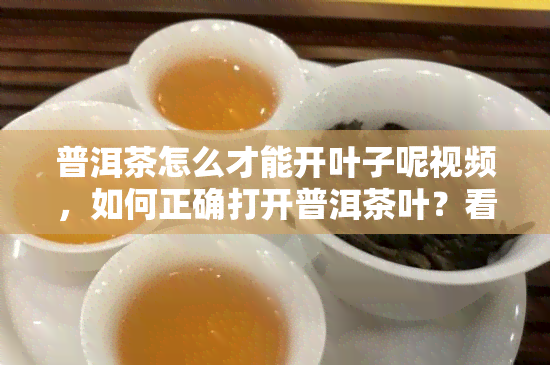 普洱茶怎么才能开叶子呢视频，如何正确打开普洱茶叶？看这里！