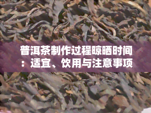 普洱茶制作过程晾晒时间：适宜、饮用与注意事项