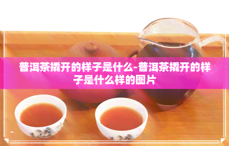 普洱茶撬开的样子是什么-普洱茶撬开的样子是什么样的图片