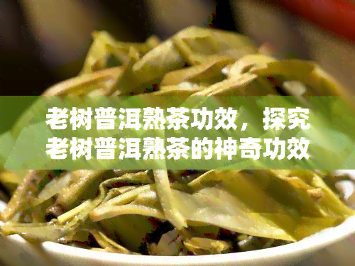 老树普洱熟茶功效，探究老树普洱熟茶的神奇功效，让您了解它的健益处！