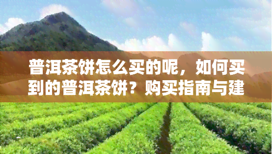 普洱茶饼怎么买的呢，如何买到的普洱茶饼？购买指南与建议