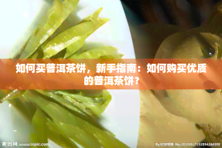 如何买普洱茶饼，新手指南：如何购买优质的普洱茶饼？