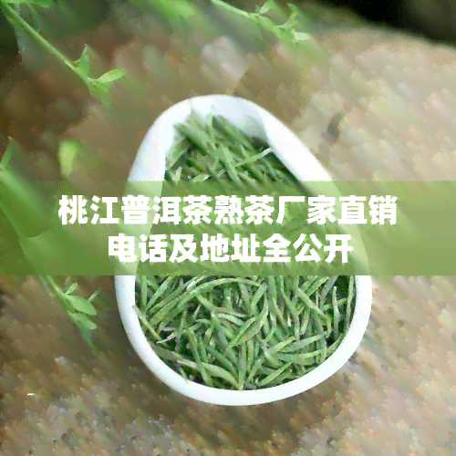 桃江普洱茶熟茶厂家直销电话及地址全公开