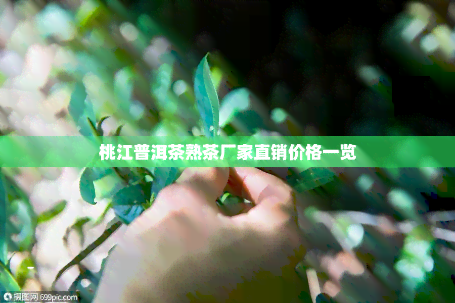 桃江普洱茶熟茶厂家直销价格一览