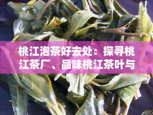 桃江泡茶好去处：探寻桃江茶厂、品味桃江茶叶与茶文化，推荐桃江特色茶馆，一探桃江产何种茶叶