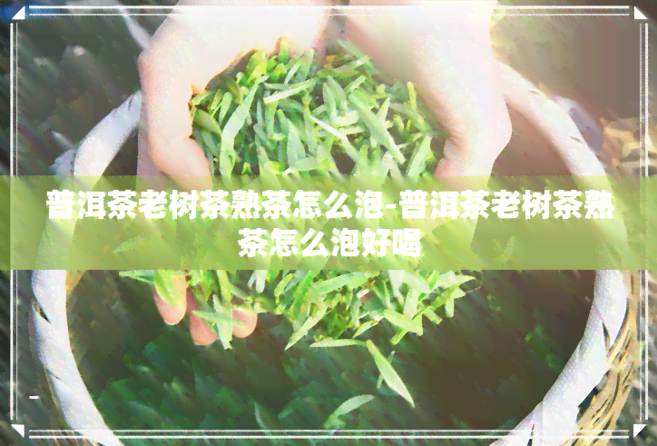 普洱茶老树茶熟茶怎么泡-普洱茶老树茶熟茶怎么泡好喝