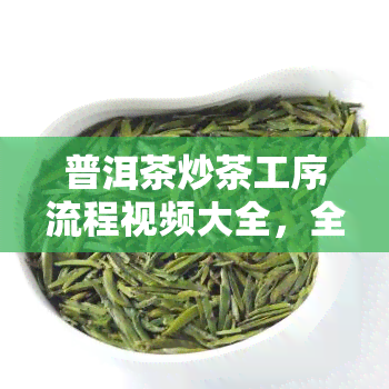 普洱茶炒茶工序流程视频大全，全程揭秘：普洱茶炒茶工序流程视频大全