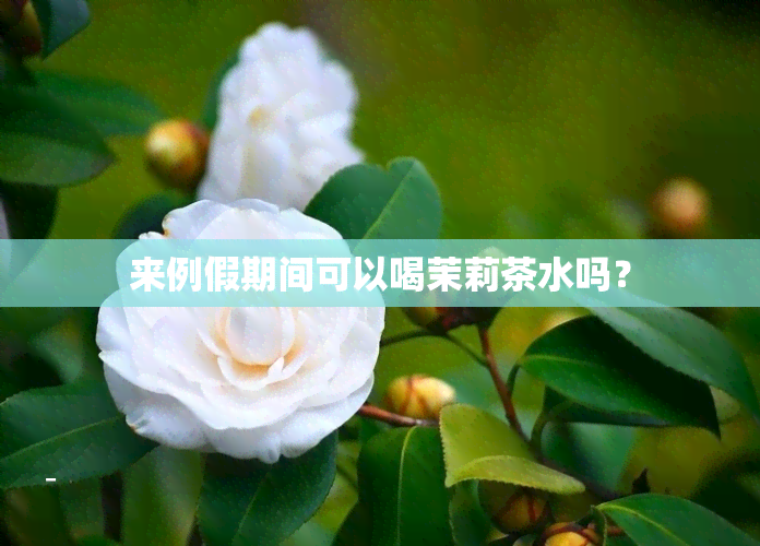 来例假期间可以喝茉莉茶水吗？