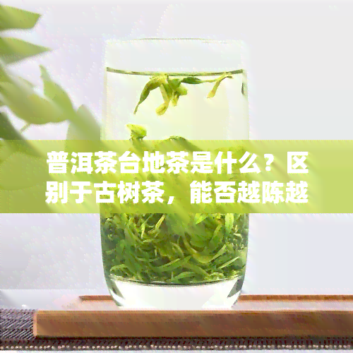 普洱茶台地茶是什么？区别于古树茶，能否越陈越香？