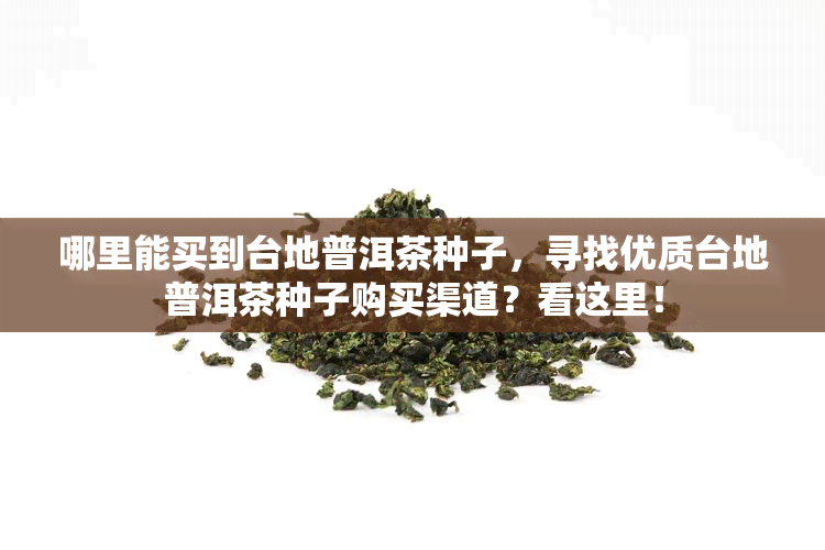 哪里能买到台地普洱茶种子，寻找优质台地普洱茶种子购买渠道？看这里！