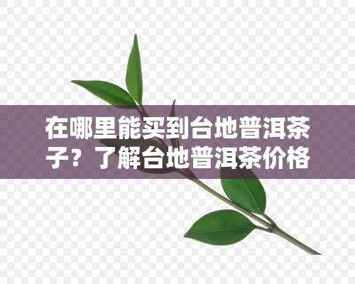 在哪里能买到台地普洱茶子？了解台地普洱茶价格及定义