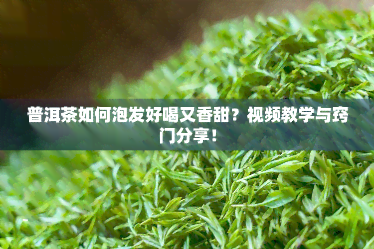 普洱茶如何泡发好喝又香甜？视频教学与窍门分享！