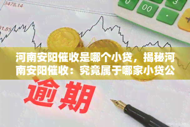 河南安阳是哪个小贷，揭秘河南安阳：究竟属于哪家小贷公司？