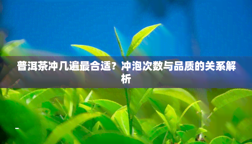 普洱茶冲几遍最合适？冲泡次数与品质的关系解析