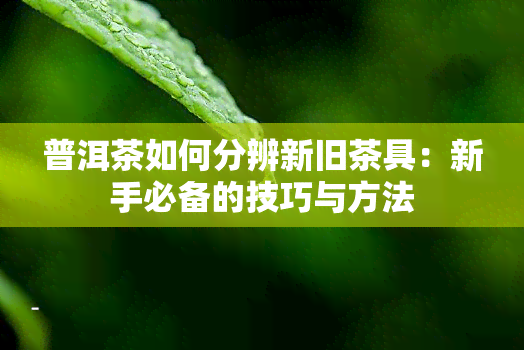 普洱茶如何分辨新旧茶具：新手必备的技巧与方法