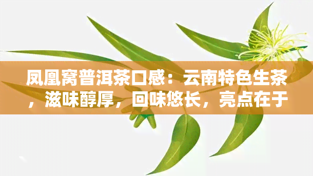 凤凰窝普洱茶口感：云南特色生茶，滋味醇厚，回味悠长，亮点在于其独特的香气和耐泡性。现在购买可享受优价。