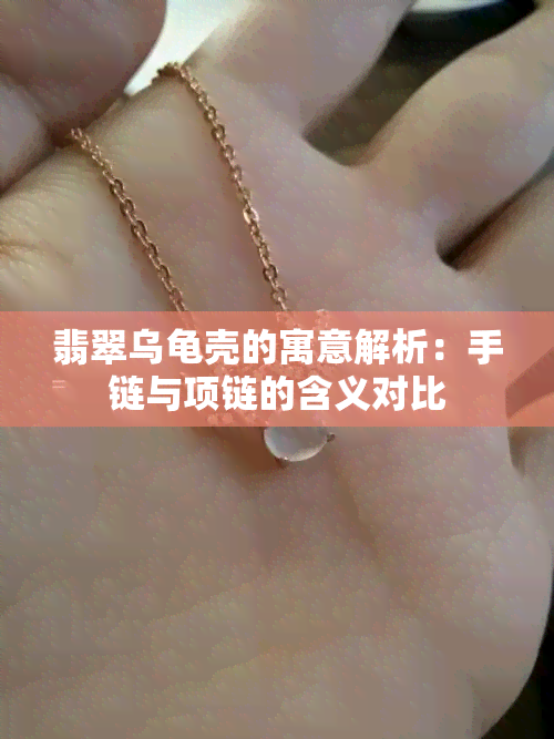 翡翠乌龟壳的寓意解析：手链与项链的含义对比