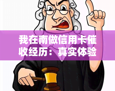 我在南做信用卡经历：真实体验与待遇分享