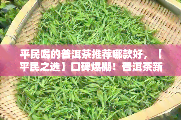 平民喝的普洱茶推荐哪款好，【平民之选】口碑爆棚！普洱茶新手入门必备好茶推荐