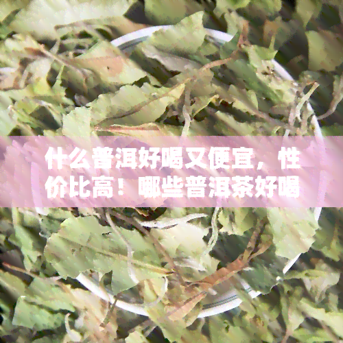 什么普洱好喝又便宜，性价比高！哪些普洱茶好喝又便宜？