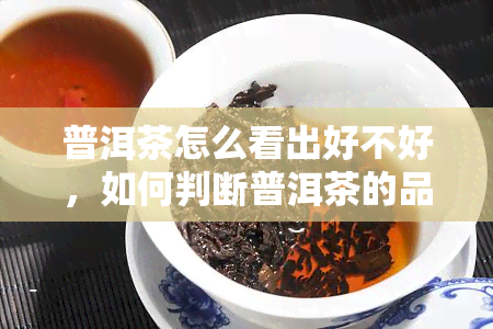 普洱茶怎么看出好不好，如何判断普洱茶的品质：看、闻、尝，全方位解析！