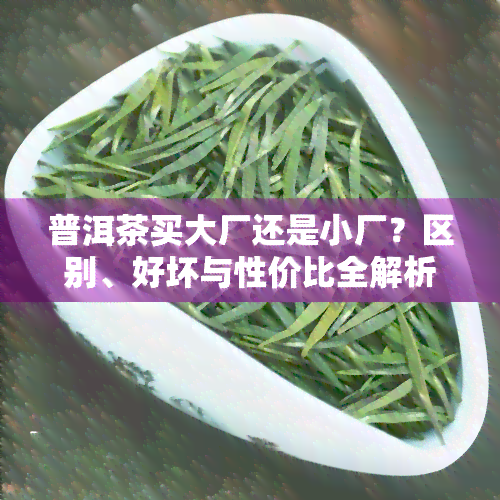 普洱茶买大厂还是小厂？区别、好坏与性价比全解析