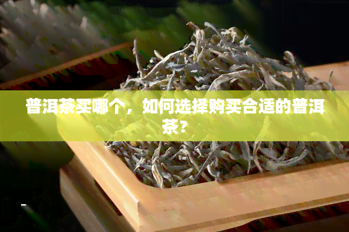 普洱茶买哪个，如何选择购买合适的普洱茶？