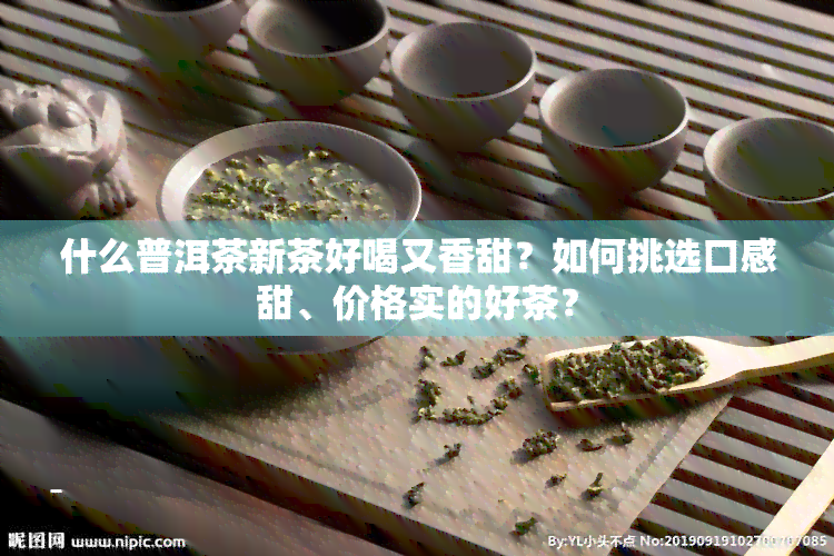 什么普洱茶新茶好喝又香甜？如何挑选口感甜、价格实的好茶？