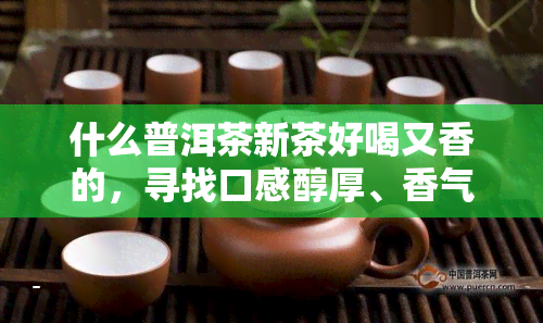 什么普洱茶新茶好喝又香的，寻找口感醇厚、香气扑鼻的普洱茶新茶推荐