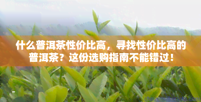 什么普洱茶性价比高，寻找性价比高的普洱茶？这份选购指南不能错过！