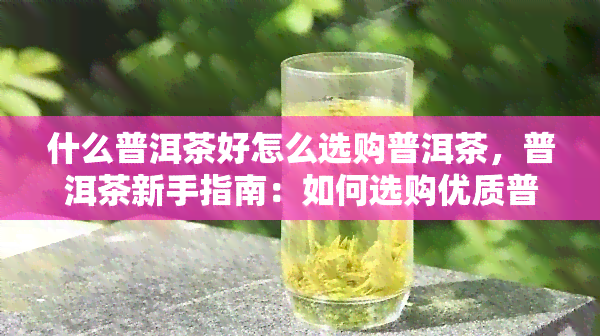 什么普洱茶好怎么选购普洱茶，普洱茶新手指南：如何选购优质普洱茶？