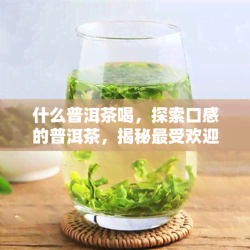 什么普洱茶喝，探索口感的普洱茶，揭秘更受欢迎的品种！