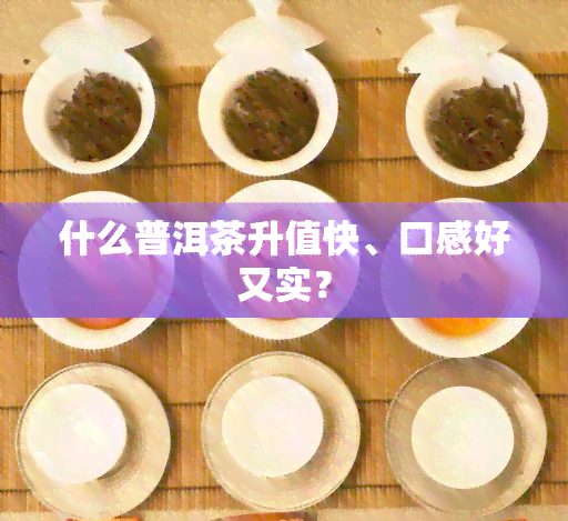 什么普洱茶升值快、口感好又实？