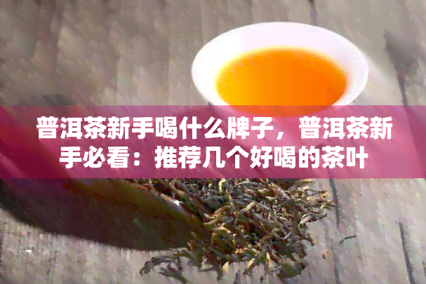 普洱茶新手喝什么牌子，普洱茶新手必看：推荐几个好喝的茶叶